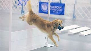 GRCA National Specialty