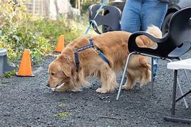 GRCA National Specialty